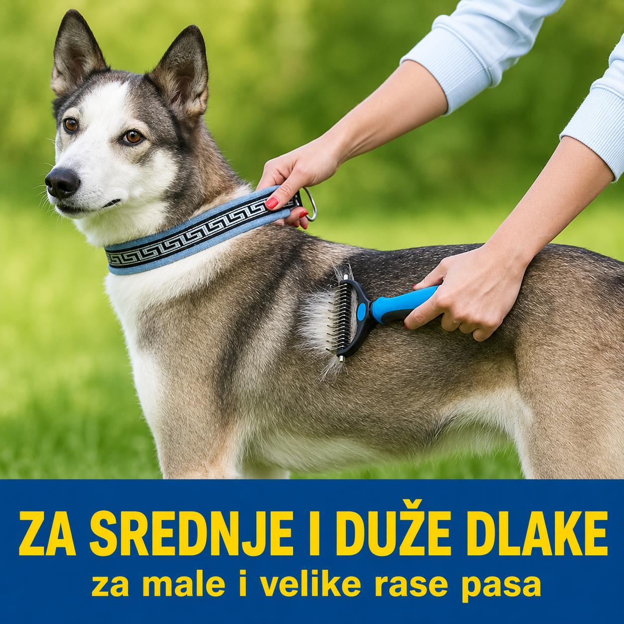 Dvostrana četka za uklanjanje dlaka i poddlake | DETANGLE